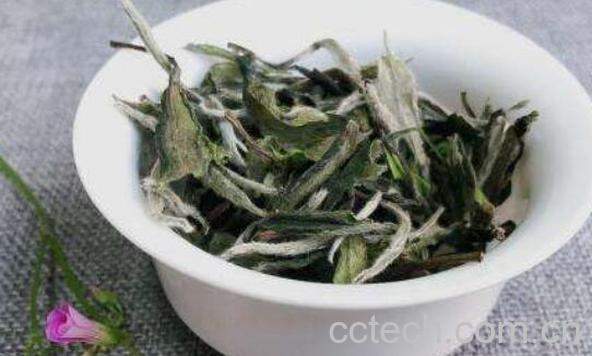 如何冲泡白牡丹 白牡丹的正确冲泡方法-1