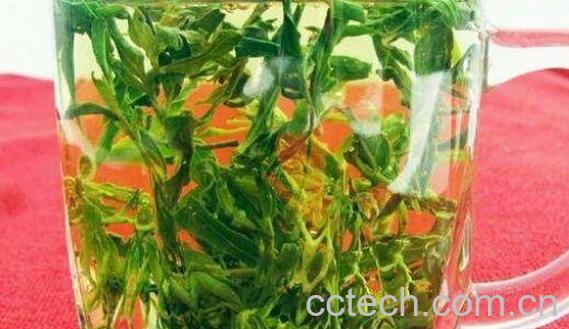 枸杞芽尖茶怎么泡 枸杞芽尖茶什么人不能喝-0