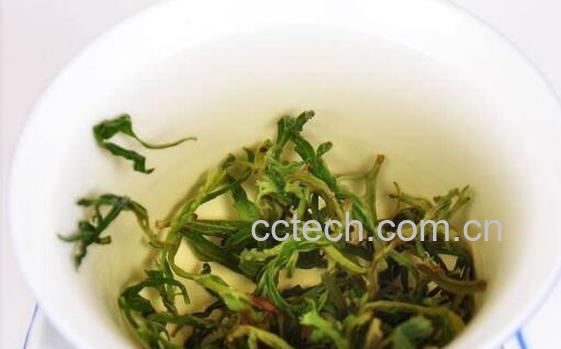 枸杞芽尖茶怎么泡 枸杞芽尖茶什么人不能喝-1