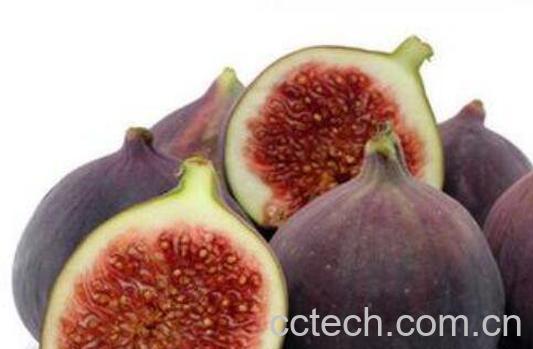 高蛋白质的水果有哪些 蛋白质含量高的水果介绍-1