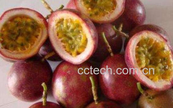 百香果的功效和禁忌-1