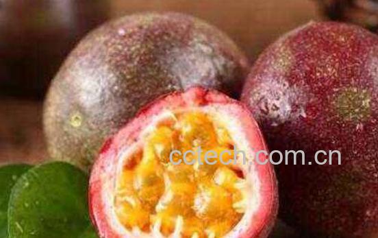 百香果的功效和禁忌-0