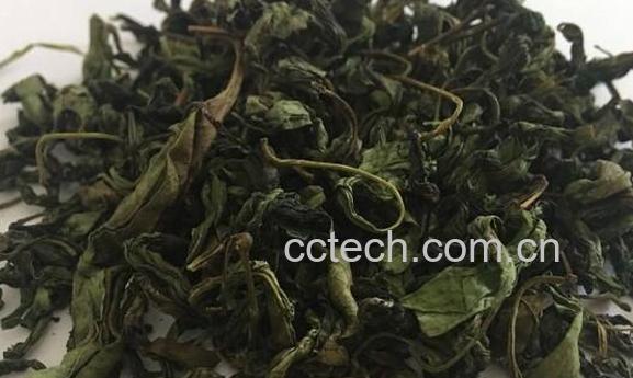 丁香叶茶的功效与作用有哪些-1