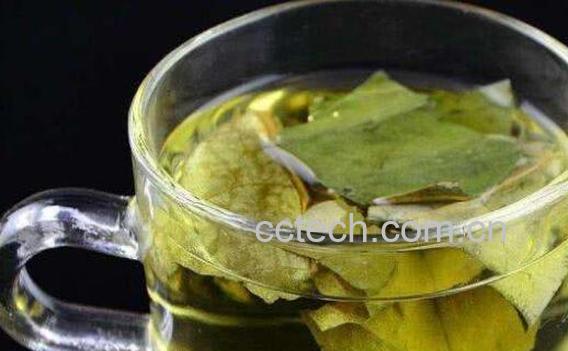 冬瓜荷叶茶的功效与作用及冲泡方法-1
