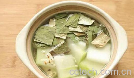 冬瓜荷叶茶的功效与作用及冲泡方法-0