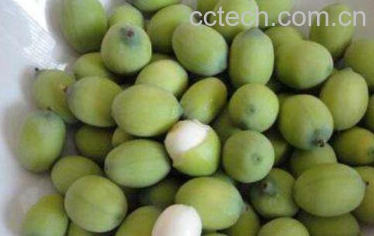 新鲜莲子的功效与作用-1