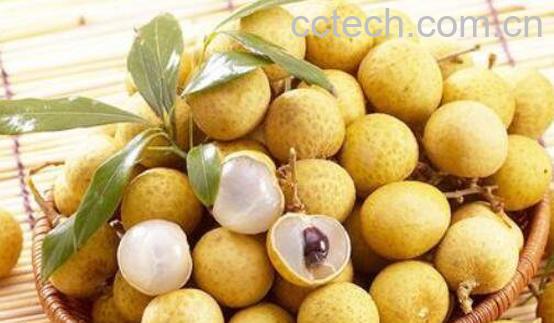 龙眼吃多了会怎么样 龙眼一天吃多少合适-0