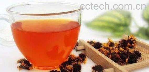 雪菊茶什么人不能喝 喝雪菊茶的禁忌-0