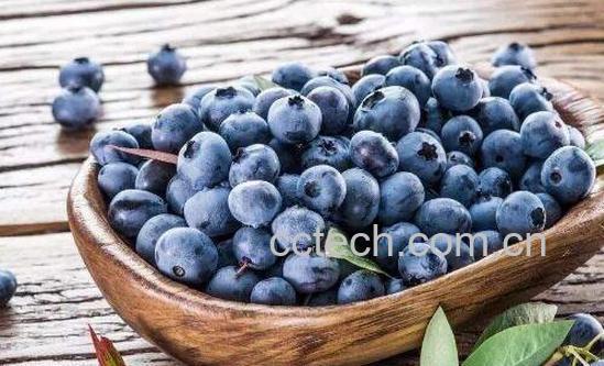 蓝莓怎么吃 蓝莓的正确吃法-0