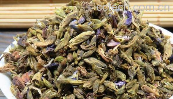 葛花茶什么人不能喝 葛花茶的副作用与禁忌-1