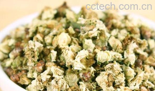 白梅花茶的功效与作用 白梅花茶的副作用-0