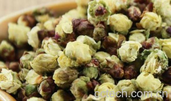 白梅花茶什么人不能喝 喝白梅花茶的禁忌-0
