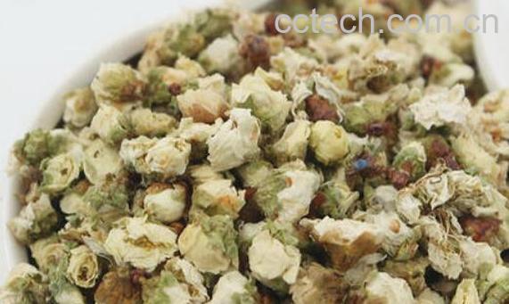 白梅花茶什么人不能喝 喝白梅花茶的禁忌-1