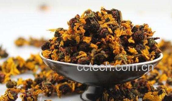 高山雪菊有什么功效 高山雪菊的禁忌-0