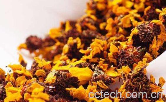 高山雪菊有什么功效 高山雪菊的禁忌-1