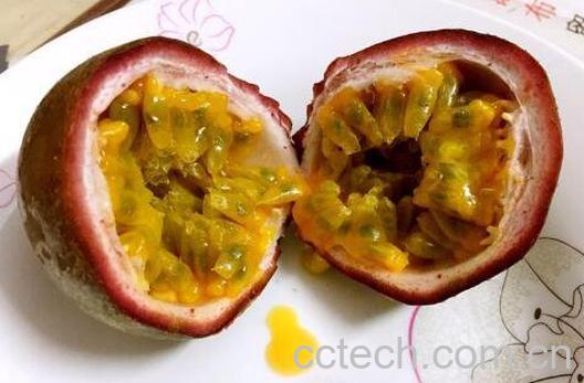 百香果的正确吃法 百香果怎么吃最好-1