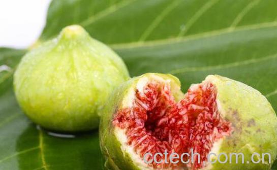 无花果怎么吃 无花果的吃法技巧-0