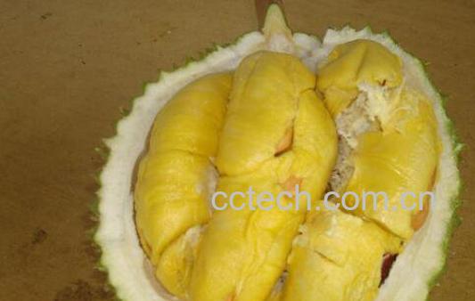 榴莲怎么吃 榴莲的正确吃法技巧-0