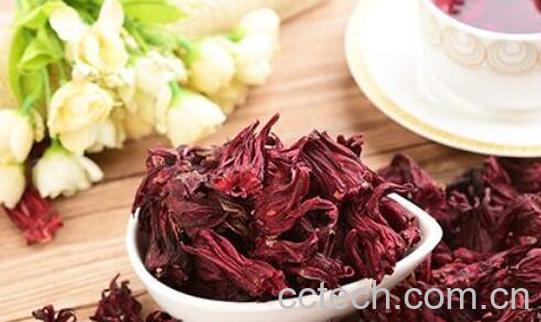 玫瑰茄花茶的功效与作用 玫瑰茄花茶怎么泡好喝-1