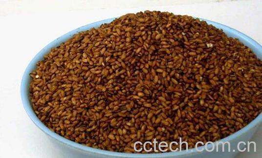 糙米茶怎么做 糙米茶的制作方法-0