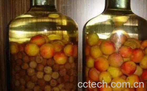 李子酒怎么做 李子酒的酿制方法-1