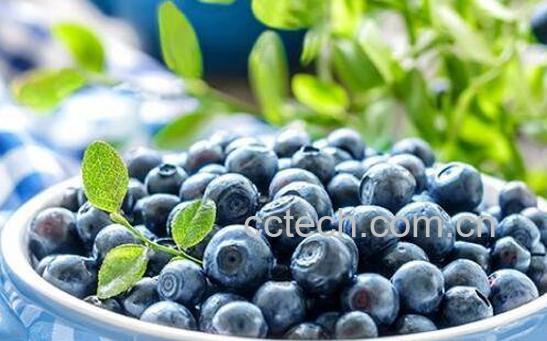 蓝莓酒最好的自酿方法 喝蓝莓酒的好处-0