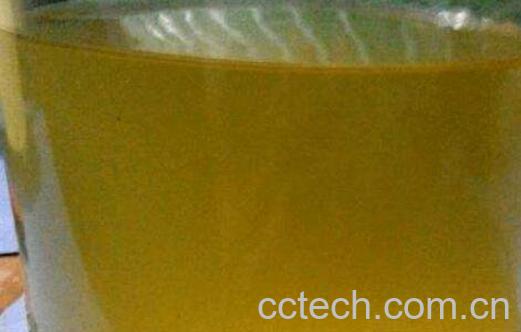 菠萝酒怎么做 菠萝酒的酿制方法-1