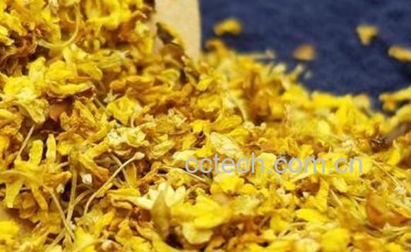如何制作桂花茶 桂花茶的简单制作方法-1