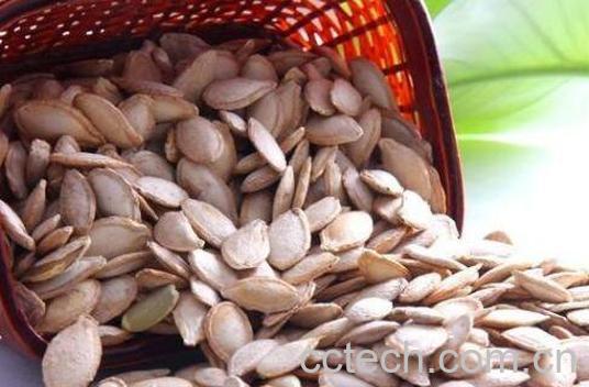 白瓜子的功效与作用-1