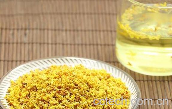 自制桂花茶怎么做 自制桂花茶窍门-0