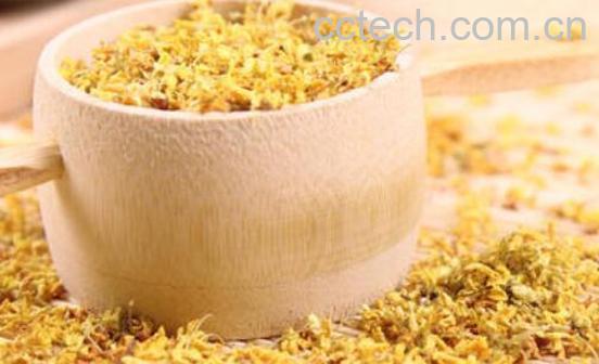 自制桂花茶怎么做 自制桂花茶窍门-1