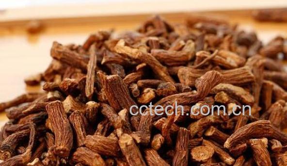 蒲公英根茶怎么泡正确-1