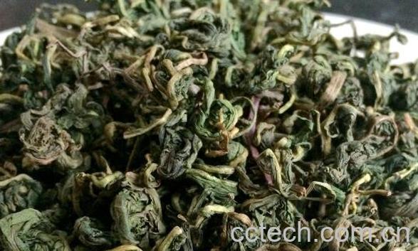 蒲公英茶太苦怎么喝 蒲公英茶的正确喝法-1