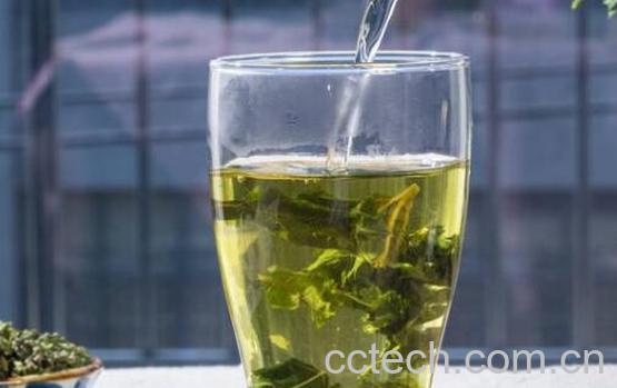 蒲公英茶哪些人不宜喝 蒲公英茶的副作用与禁忌-1