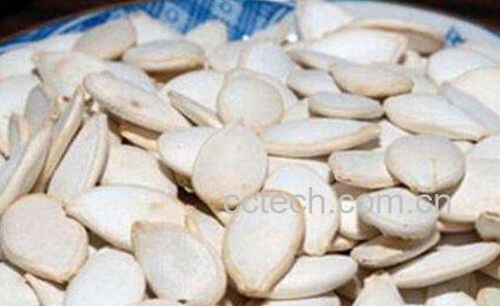 吃白瓜子的好处与坏处-1