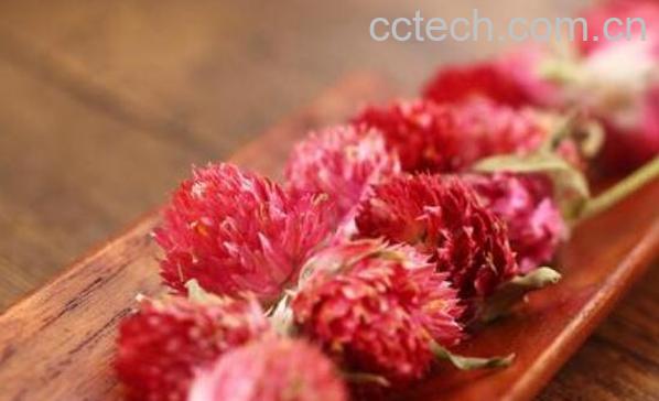 红巧梅可以天天喝吗 红巧梅花茶的副作用-1