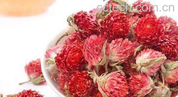 红巧梅可以天天喝吗 红巧梅花茶的副作用-0