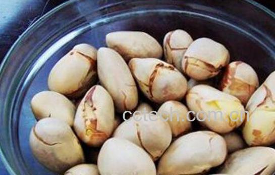 菠萝蜜的核有什么功效 菠萝蜜核的功效与作用-0