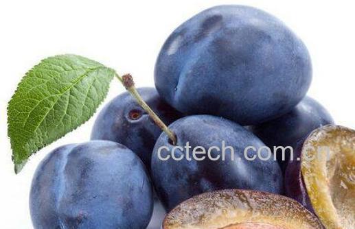 西梅的功效与作用及食用方法-0