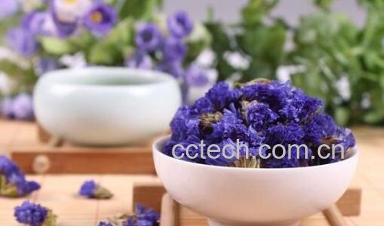 勿忘我花茶的功效与作用及禁忌-1