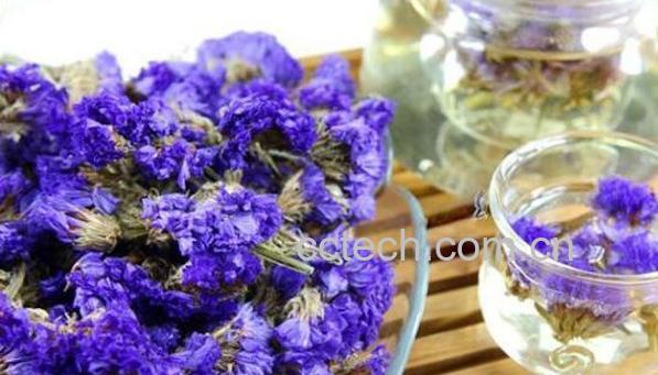 勿忘我花茶的功效与作用及禁忌-0