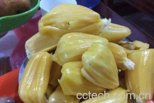 菠萝蜜怎么吃 菠萝蜜的吃法大全-0