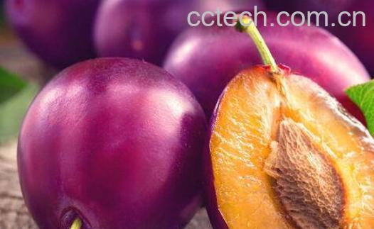 新鲜西梅的功效与作用-0