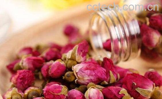 干月季花茶的制作方法 喝月季花茶的好处-1