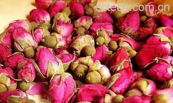  月季花茶怎么制作 月季花茶的制作方法教程-1