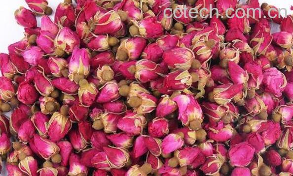玫瑰花茶怎样做自制 玫瑰茶怎么煮窍门-1