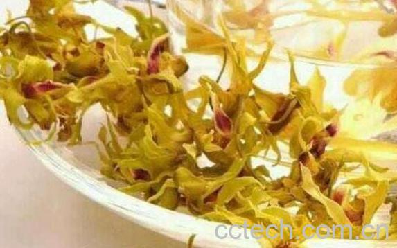 石花茶的功效与作用-1