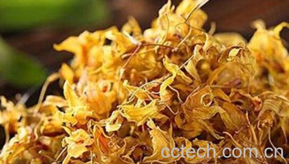 石花茶的功效与作用-0