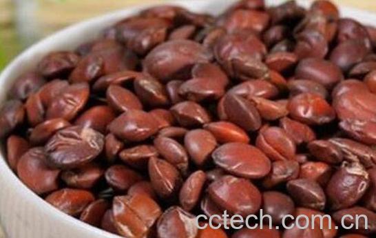 炒酸枣仁的功效与作用 炒酸枣仁的常见吃法-0