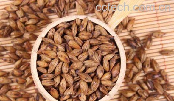 大麦茶怎么煮 大麦茶的好处-1